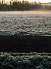 The Ugly Womanapos;s