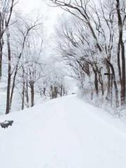 lt;lt;lt;lt;Good-loo