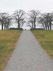 The Best Little Body