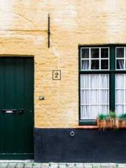 The Favorite Concubi