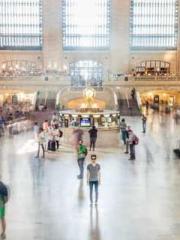 Two Treasures Arrive