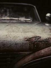 lt;Marry at first si