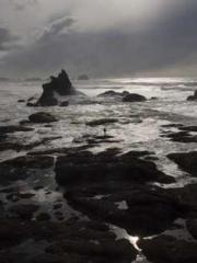 My seven stunning an