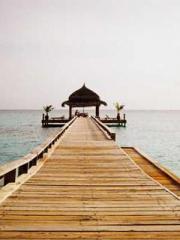 lt;Dragon King Legen