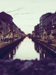 The Rough Man Hunter