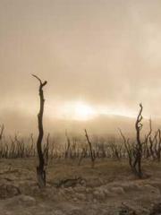 Absolute Martial God