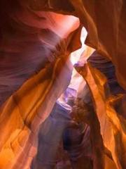 I have seven fairy g