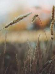 The Sovereign of the