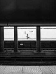 Transmigrated to the