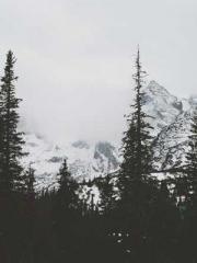 lt;lt;lt;Reborn Soar