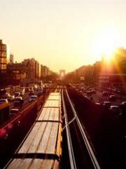 Become a big shot in