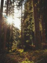 Wang Xuan Mu Qingyue