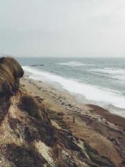 Saintly Gate Venerab