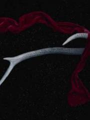 lt;Ye Qingyun, Tiany