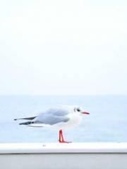 Grandpa Fuapos;s Ful