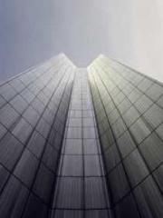 The Stand-in Wife Wa