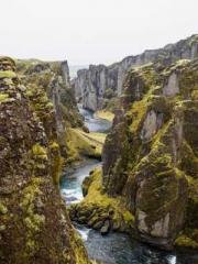 The Apothecaryapos;s