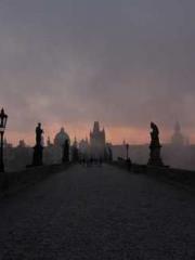 One Pregnancy, Two B