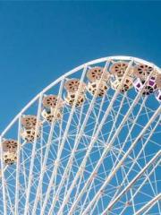 A Second Marriage Mo