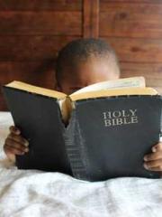 lt;Liang Yimo Cold N