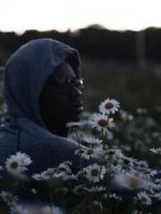 lt;lt;lt;Visionary S