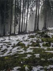 Ling Hao Qin Yuxin R